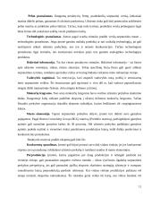 Eksporto plėtros galimybės UAB „DALEMA“ 9 puslapis