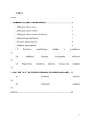 Mokėjimų balansų panašumai ir skirtumai Baltijos šalyse 2 puslapis