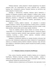 Mokėjimų balansų panašumai ir skirtumai Baltijos šalyse 6 puslapis