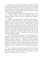 Mokėjimų balansų panašumai ir skirtumai Baltijos šalyse 9 puslapis