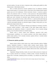 Mokėjimų balansas ir kapitalas 15 puslapis