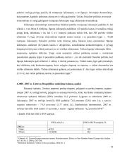 Mokėjimų balansas ir kapitalas 19 puslapis