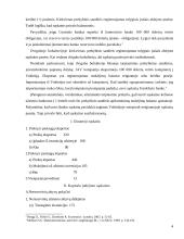 Mokėjimų balansas ir kapitalas 4 puslapis