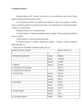 Mokėjimų balansas ir kapitalas 7 puslapis