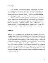 Jaunimo migracijos į Angliją priežastys ir pasekmės Lietuvai 2 puslapis