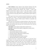 Jaunimo migracijos į Angliją priežastys ir pasekmės Lietuvai 3 puslapis