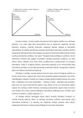 Fiskalinės politikos problemos 15 puslapis