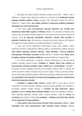 Fiskalinės politikos problemos 19 puslapis