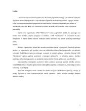 Įmonės ekonominės veiklos atitikimas šalies strategijai 2 puslapis