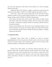 Įmonės ekonominės veiklos atitikimas šalies strategijai 11 puslapis