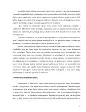 Įmonės ekonominės veiklos atitikimas šalies strategijai 12 puslapis