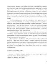 Įmonės ekonominės veiklos atitikimas šalies strategijai 13 puslapis