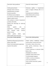 Įmonės ekonominės veiklos atitikimas šalies strategijai 14 puslapis