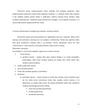 Įmonės ekonominės veiklos atitikimas šalies strategijai 16 puslapis