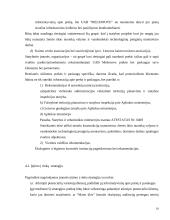 Įmonės ekonominės veiklos atitikimas šalies strategijai 18 puslapis