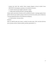 Įmonės ekonominės veiklos atitikimas šalies strategijai 19 puslapis