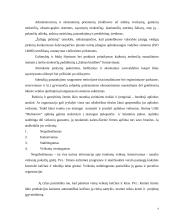 Įmonės ekonominės veiklos atitikimas šalies strategijai 4 puslapis