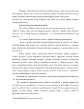 Įmonės ekonominės veiklos atitikimas šalies strategijai 5 puslapis