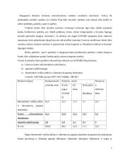 Įmonės ekonominės veiklos atitikimas šalies strategijai 8 puslapis