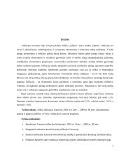 Infliacijos ekonometrinis modelis ir prognozė 3 puslapis