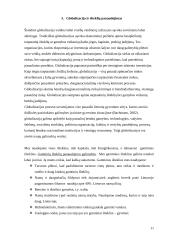 Ištekliai ir globalizacija 11 puslapis