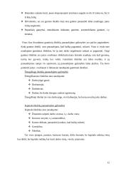 Ištekliai ir globalizacija 12 puslapis