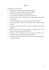 Ištekliai ir globalizacija 13 puslapis