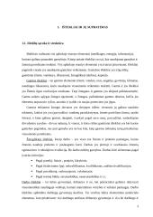 Ištekliai ir globalizacija 3 puslapis