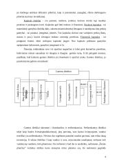 Ištekliai ir globalizacija 4 puslapis