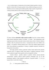Ištekliai ir globalizacija 6 puslapis
