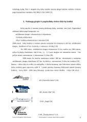 Kelių statybos ir remonto rinkos dalyvių analizė 9 puslapis