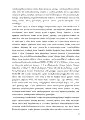 Riboti gamybos ištekliai ir jų sprendimo būdai Lietuvoje 19 puslapis