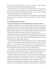 Riboti gamybos ištekliai ir jų sprendimo būdai Lietuvoje 20 puslapis