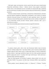 Riboti gamybos ištekliai ir jų sprendimo būdai Lietuvoje 5 puslapis