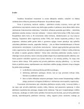 Nedarbo mažinimo strategijos įgyvendinimas Joniškio rajone 2 puslapis