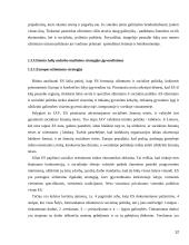 Nedarbo mažinimo strategijos įgyvendinimas Joniškio rajone 12 puslapis