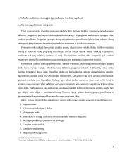 Nedarbo mažinimo strategijos įgyvendinimas Joniškio rajone 4 puslapis