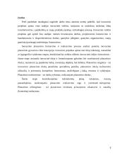 Inovacijų planavimas 2 puslapis