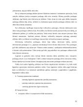 Inovacijų planavimas 13 puslapis