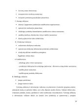 Inovacijų planavimas 14 puslapis