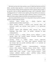 Inovacijų planavimas 7 puslapis