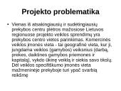 Prekybos centrų plėtra mažuose Lietuvos regionuose  5 puslapis