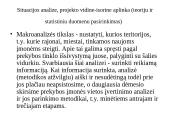 Prekybos centrų plėtra mažuose Lietuvos regionuose  8 puslapis