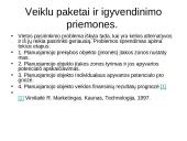Prekybos centrų plėtra mažuose Lietuvos regionuose  10 puslapis