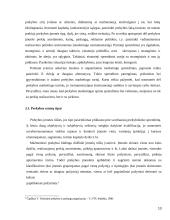 Prekybos centrų plėtra mažuose regionuose 13 puslapis