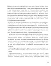 Prekybos centrų plėtra mažuose regionuose 15 puslapis