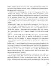 Prekybos centrų plėtra mažuose regionuose 19 puslapis