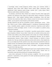 Prekybos centrų plėtra mažuose regionuose 20 puslapis