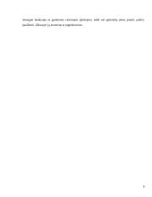 Prekybos centrų plėtra mažuose regionuose 3 puslapis