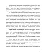 Prekybos centrų plėtra mažuose regionuose 5 puslapis